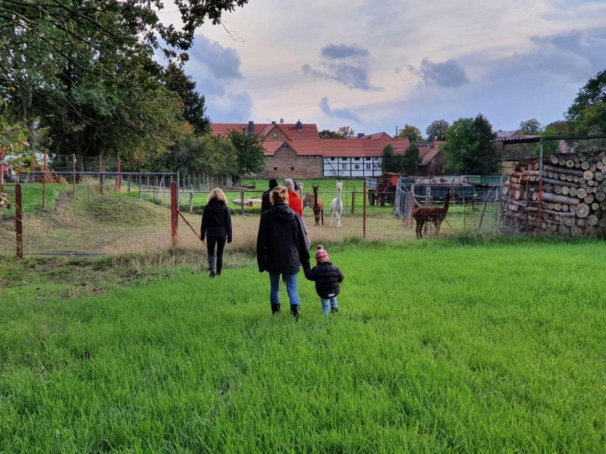 Gelbes Haus Seenland Ferienwohnungen Xl Elsterheide Luaran gambar