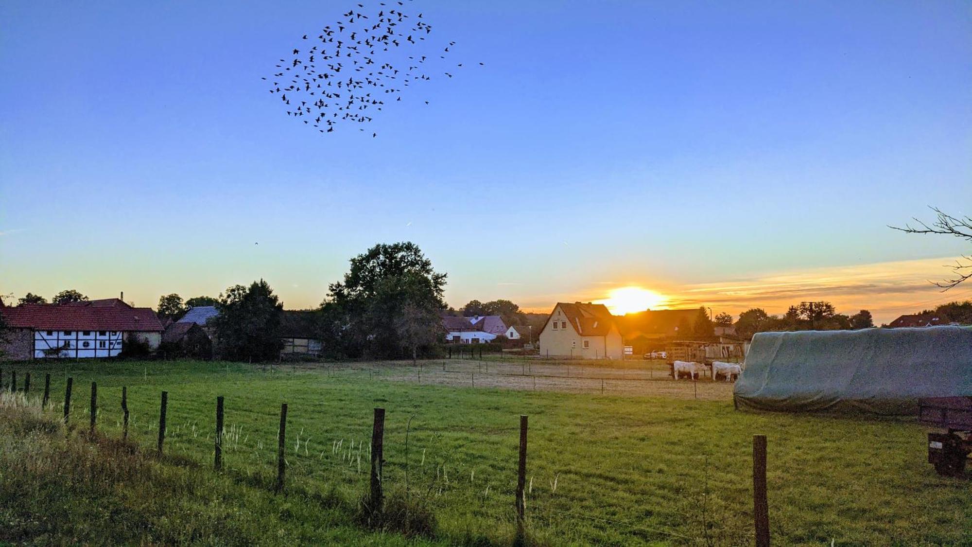 Gelbes Haus Seenland Ferienwohnungen Xl Elsterheide Luaran gambar